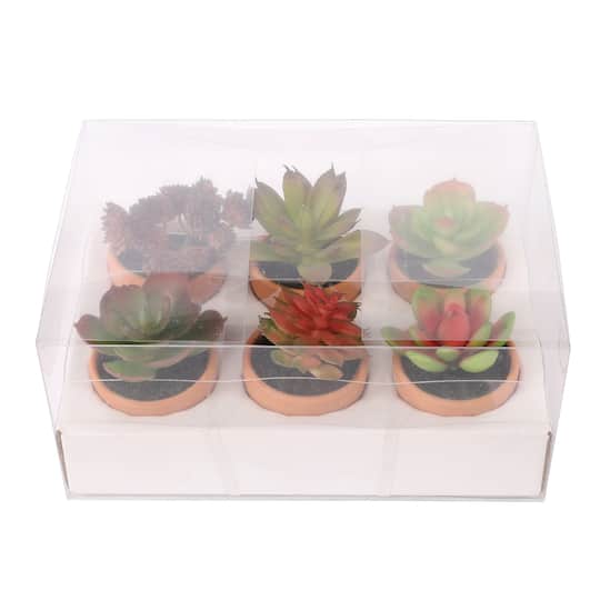 6 Packs: 6 ct. (36 total) Mini Premade Succulents in Terra Cotta Pots by Ashland®